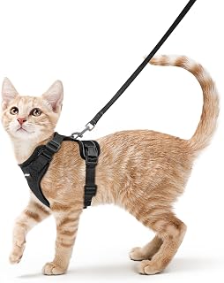 rabbitgoo Escape-Proof Cat Harness & Leash for Walking - Soft Adjustable Breathable Vest, Reflective Strips, Black XS for Small Cats