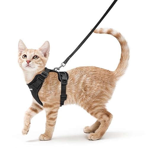 rabbitgoo Cat Harness and Leash for Walking, Escape Proof Soft Adjustable Vest Harnesses for Cats, Easy Control Breathable Reflective Strips Jacket, Black, S