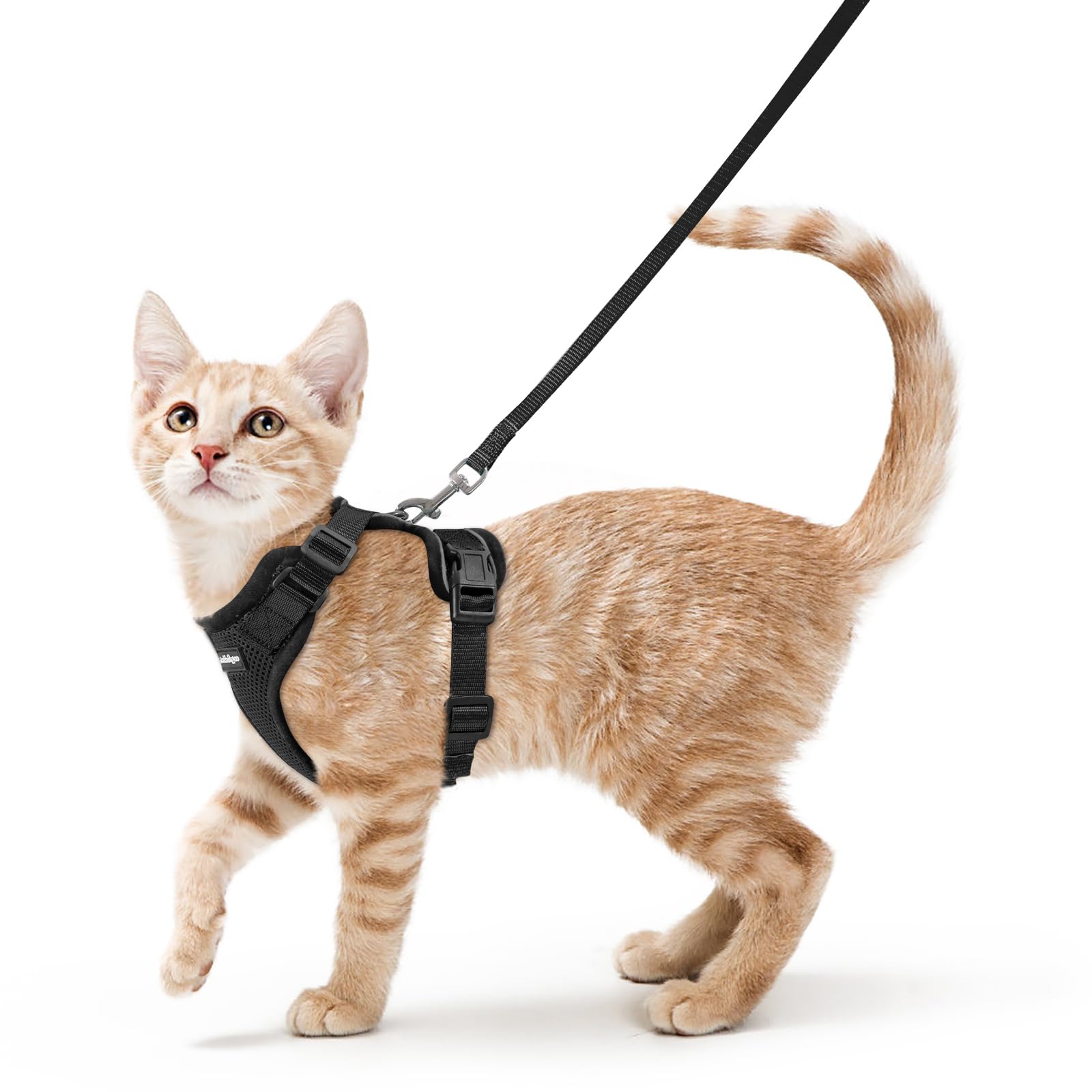 rabbitgoo Cat Harness and Leash for Walking, Escape Proof Soft Adjustable Vest Harnesses for Cats, Easy Control Breathable Reflective Strips Jacket, Black, S
