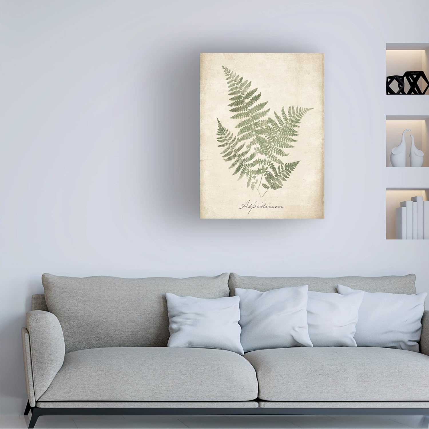 Trademark Fine Art 'Vintage Ferns IX No Border' Canvas Art by Wild Apple Portfolio
