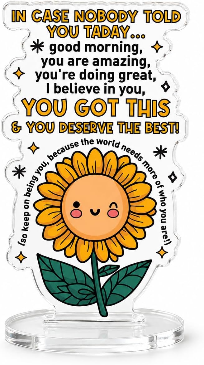 Inspirational Gifts for Women Men Teens, You Got This
