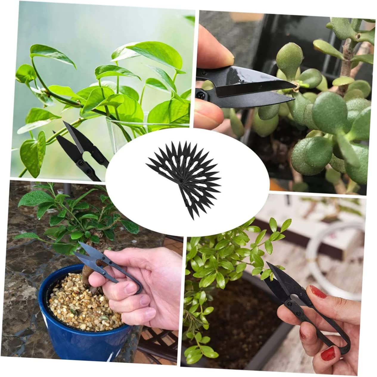 Supvox 60stücke Bonsai Scheren Präzise Gartenwerkzeuge Für Trimmen Von Und Bonsai Ergonomischer Griff Für Müheloses Schneiden Für Hobbygärtner Und Floristen
