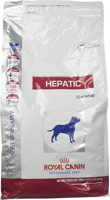 hepatic canine