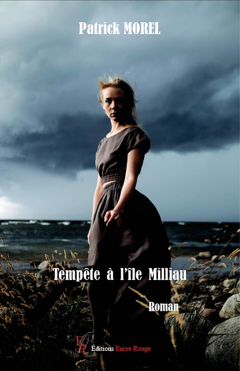 Tempête à l'île Milliau - Patrick Morel (2024) Tempête à l'île Milliau - Patrick Morel (2024)