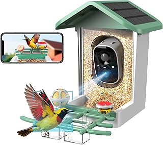 2K Solar Bird Feeder Camera with AI Species ID and Instant Arrival Alerts (Green)