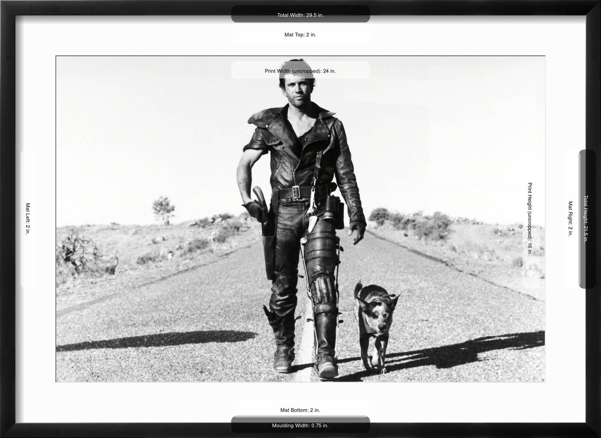 Amazon.com: AllPosters Wall Photographic Print MEL GIBSON. THE MAD