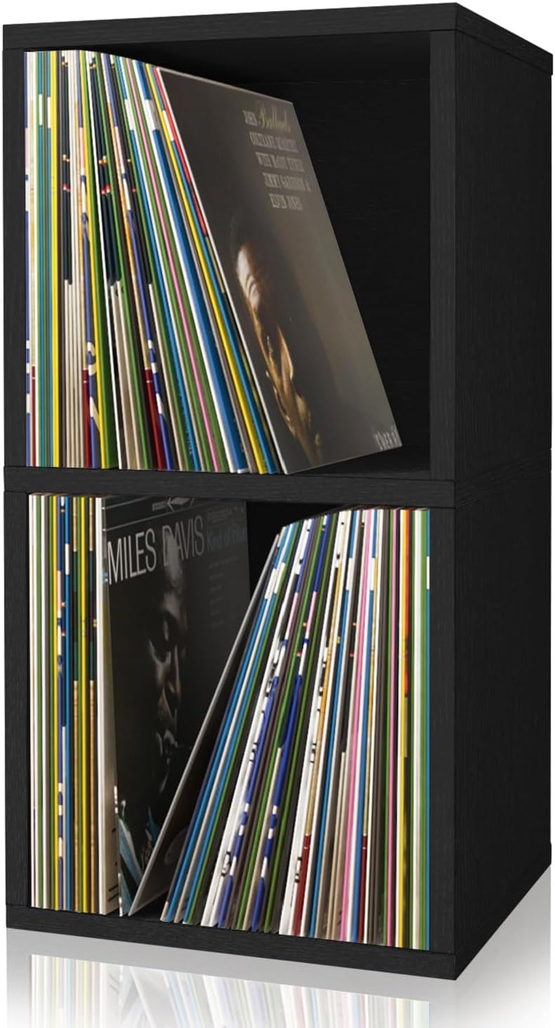 Way Basics Book Shelf 2 Tier - Vinyl Record Storage (Tool-free Assembly)