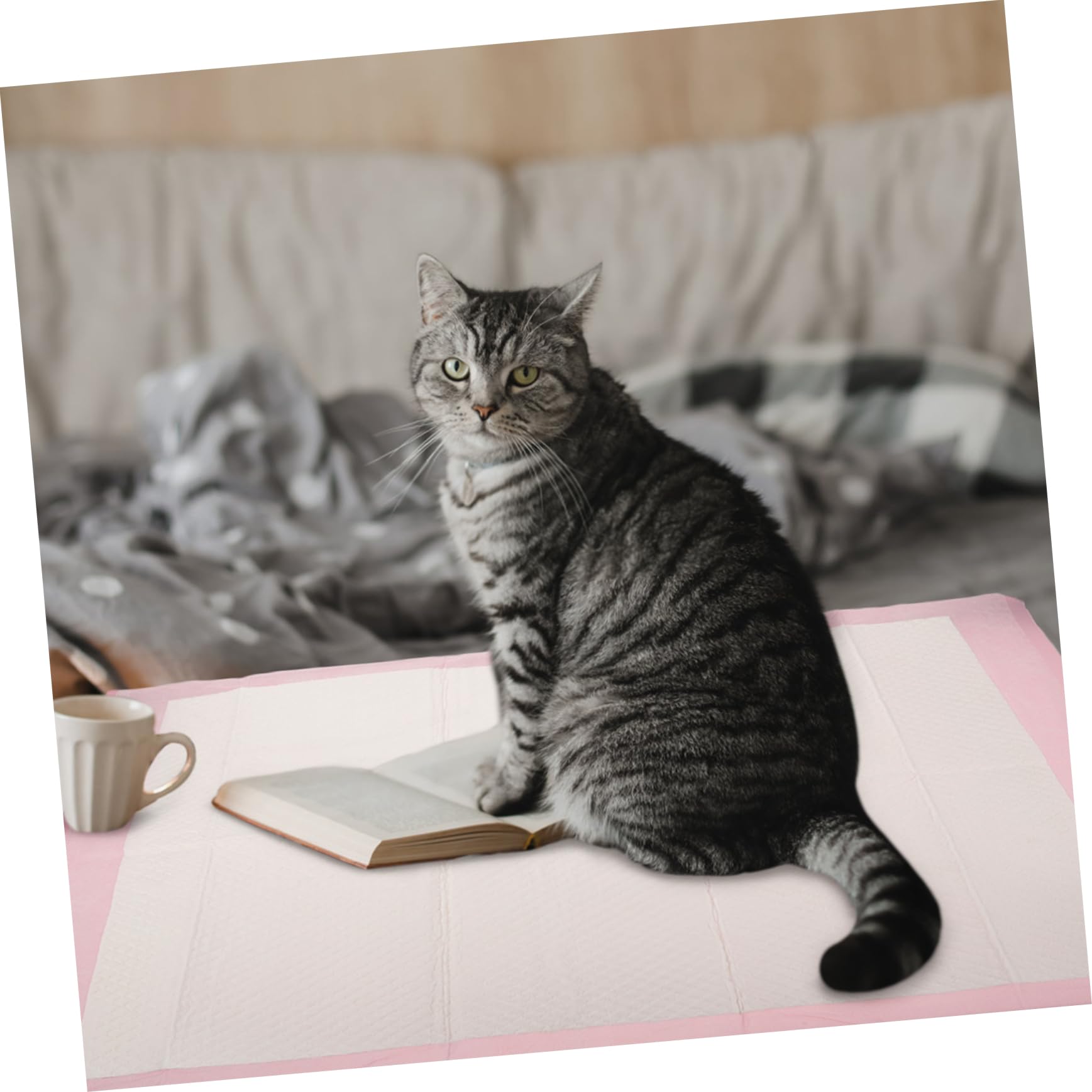 Empapador para Orinar de Cachorros y Gatitos Superabsorbente 1 Bolsa