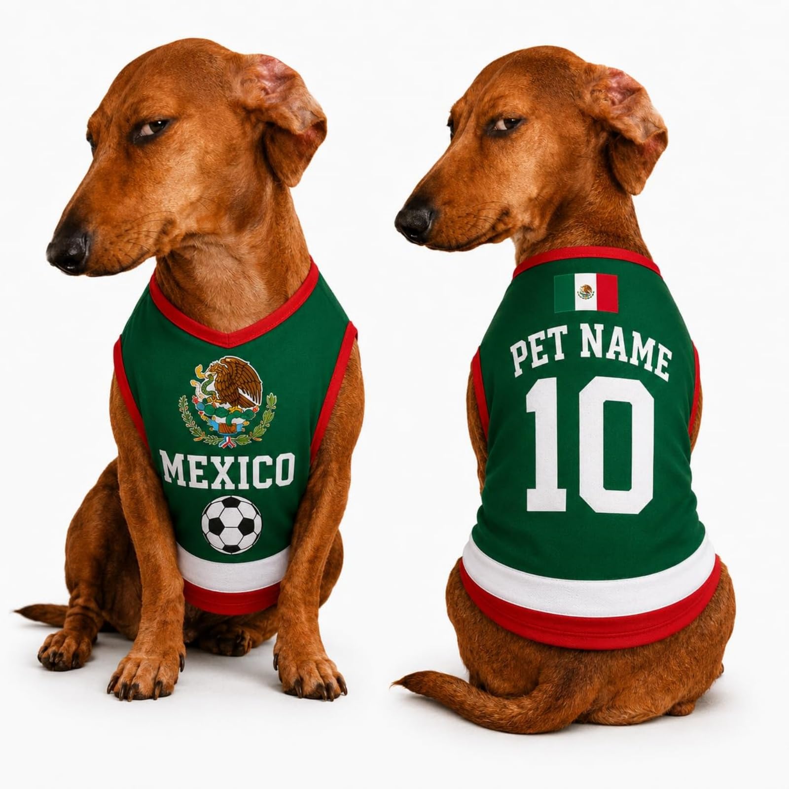 Custom Dog Football Jersey with Name Number Logo, Personalised 2026 Pet Jersey, Breathable Quick Dry T-Shirt for Small Medium Large Dogs, Gift for Fans