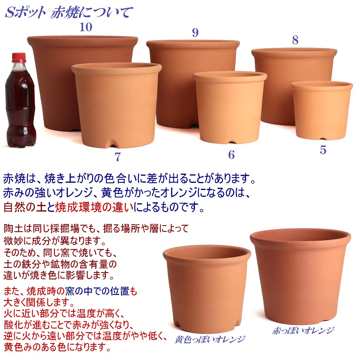 Amazon.co.jp: 鉢 三河焼 KANEYOSHI 【日本製/安心国産品質】 陶器