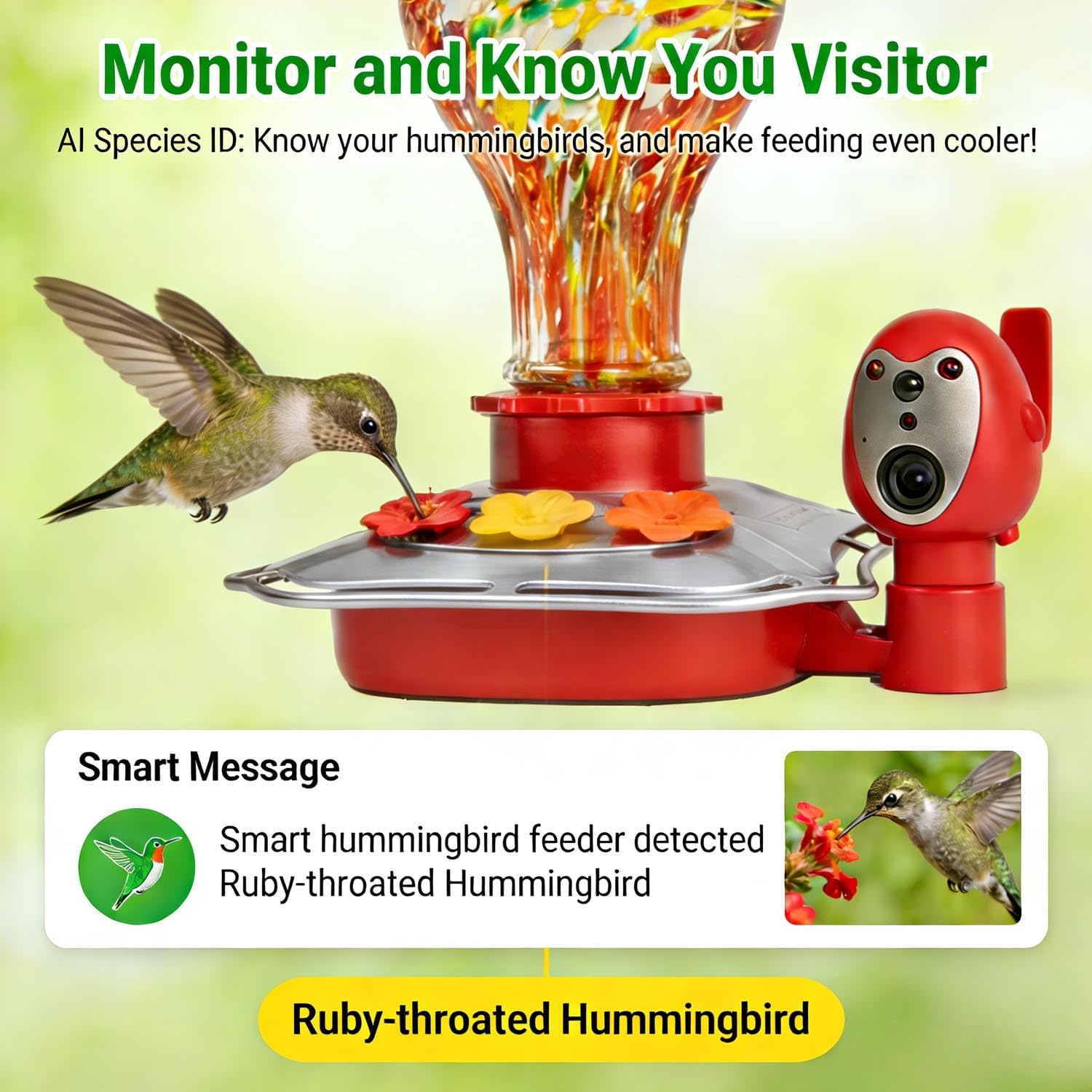Hummingbird Feeder with Camera, Smart Glass Humming Bird Feeder Camera Solar Powered, AI Identify and Instant Notifications, 2K Live View, Leak-Proof Ant & Bee Proof, Ideal Gift for Bird Lovers - Image 7