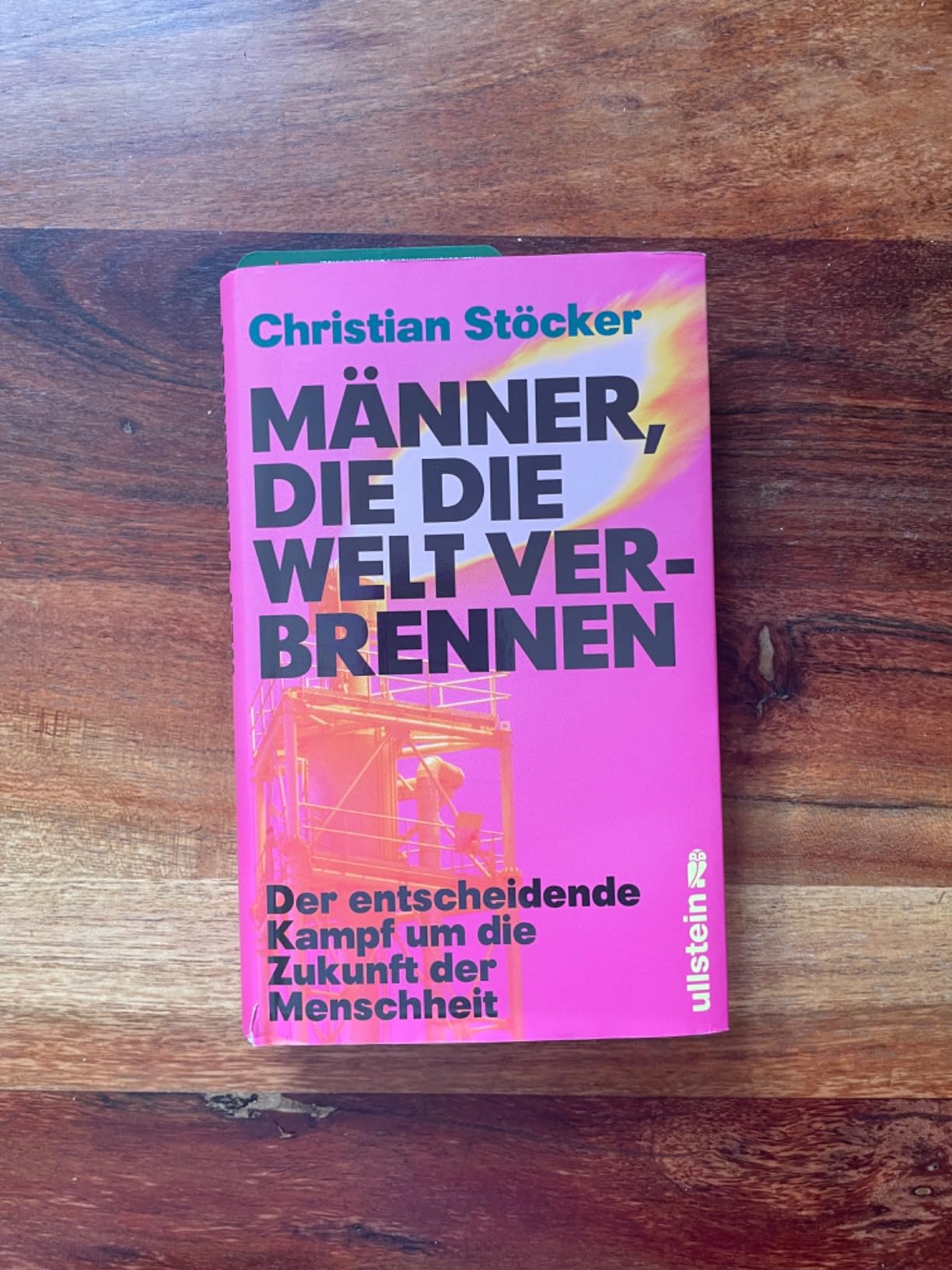 Männer, die die Welt verbrennen (Hörbuch-Download): Christian Stöcker