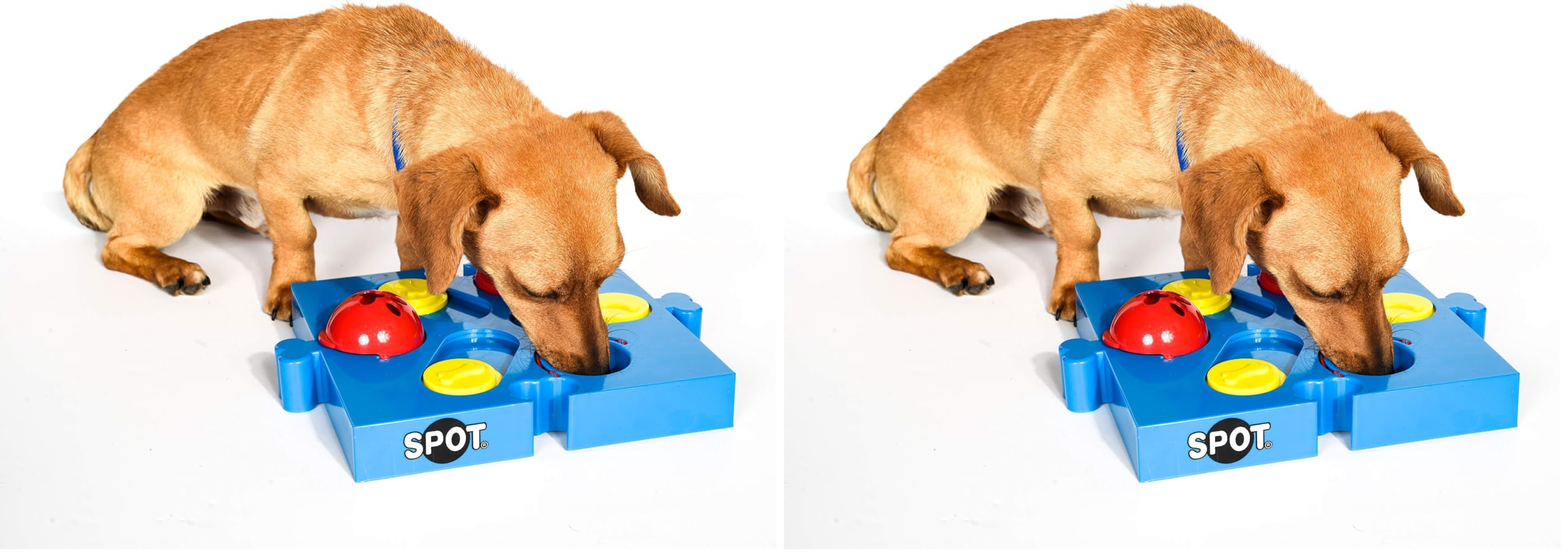 Amazon.com: SPOT by Ethical Products Interactive Seek-A-Treat Flip