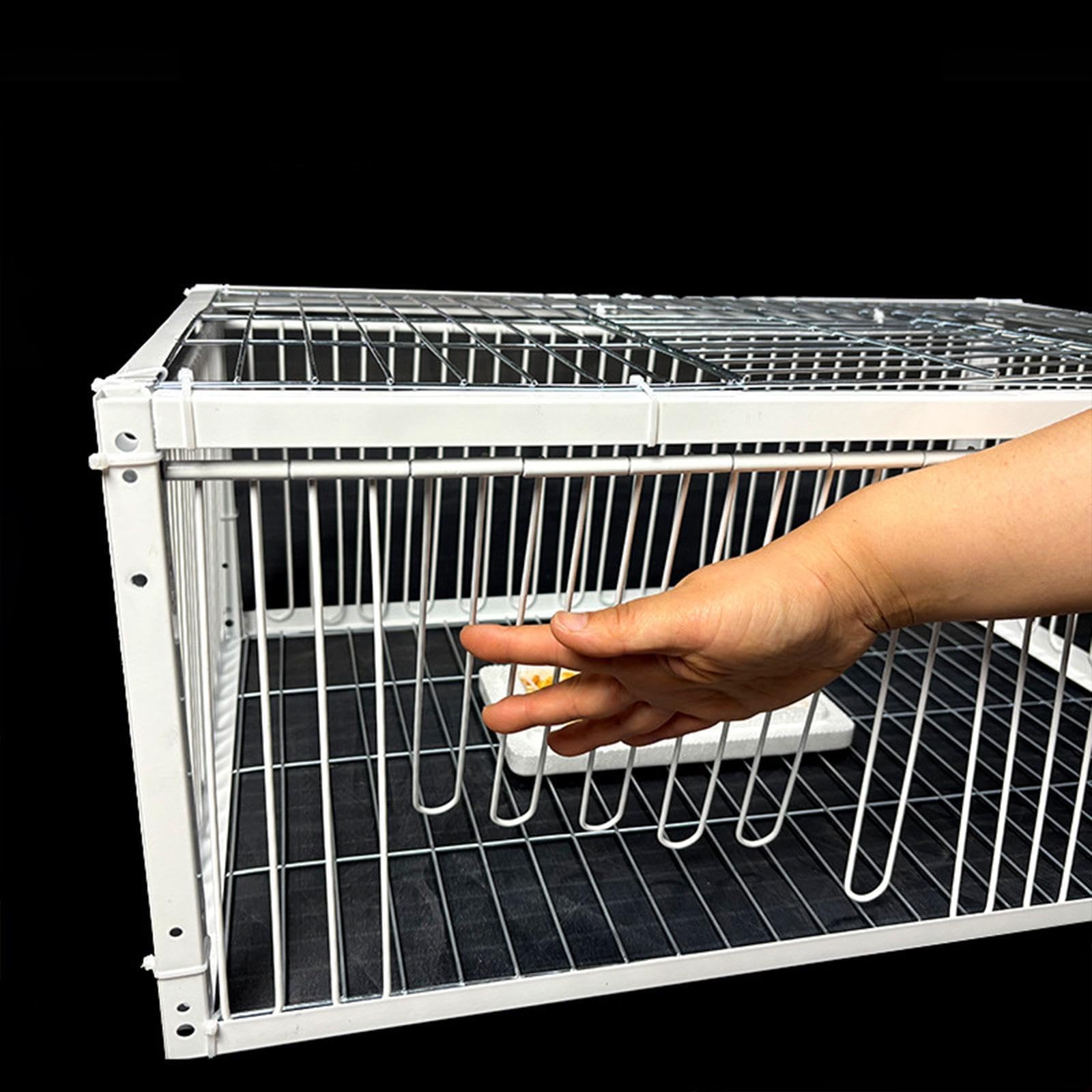 Jaula para Palomas, Jaula de Recolección Automática, Caja Nido, Entrada, Materiales de Hierro Resistentes, Espacio Cómodo para Huertos, Almacenes, Etc, 4 Entrada
