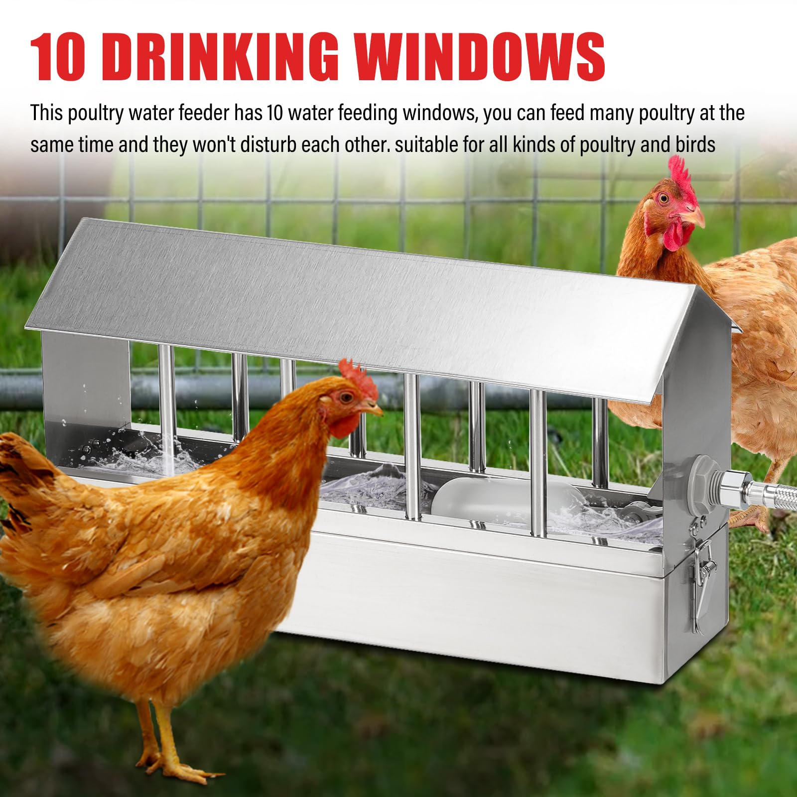 Abbeveratoio Automatico per Piccioni 2.6L Acciaio Inox Fontana di Abbeveratoio per Pollo con Valvola a Galleggiante Distributore D'Acqua per Pollame Uccelli Piccioni Polli