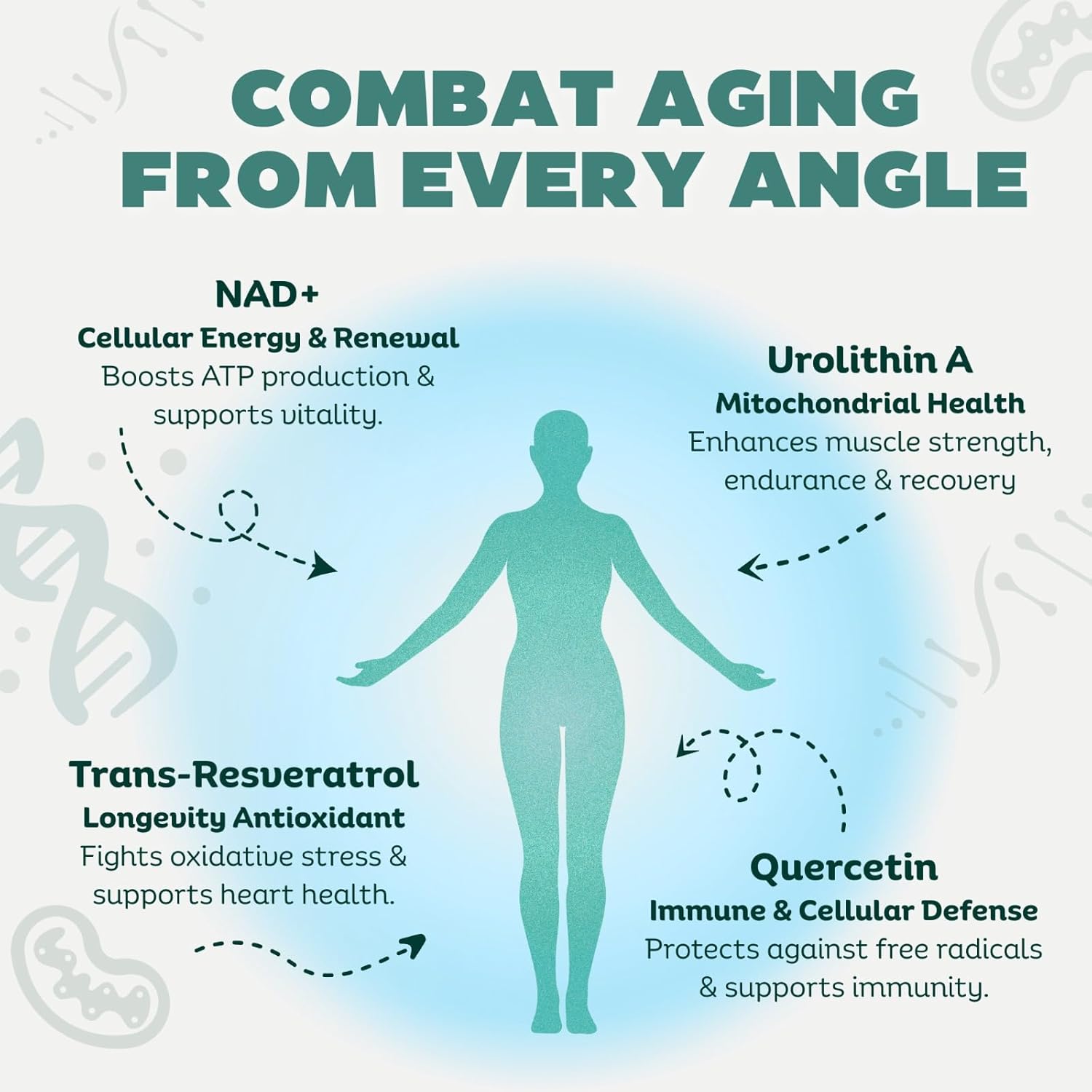 NAD Supplement Pure Organic | NMN Supplement Alternative | Boost Energy & Cellular Health | Urolithin A, Resveratrol, Quercetin for Antioxidant Power | for Women and Men