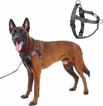 No Pull Dog Harness Front Clip, Black, Large