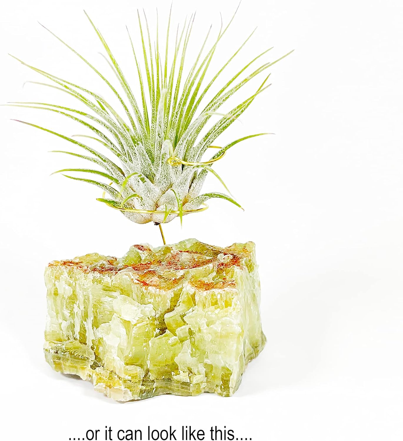 Green Calcite Crystal Air Plant Holder Gift Includes Healthy Live Air Plant and Holiday Box