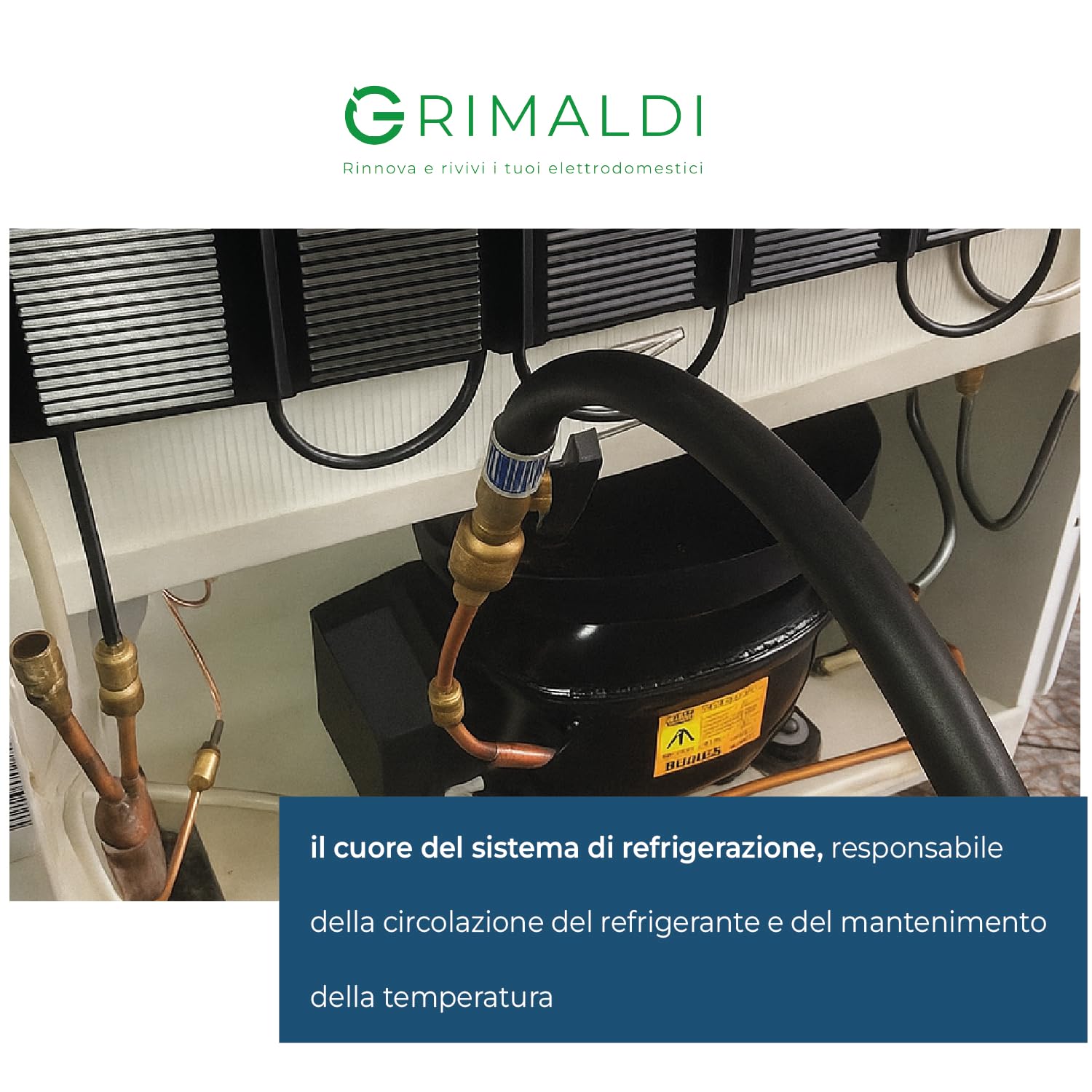 G GRIMALDI Compressore GLY45AAa 1/8 HP 109W R134a 220-240V 50Hz gas R1234yf LBP statico RSIR