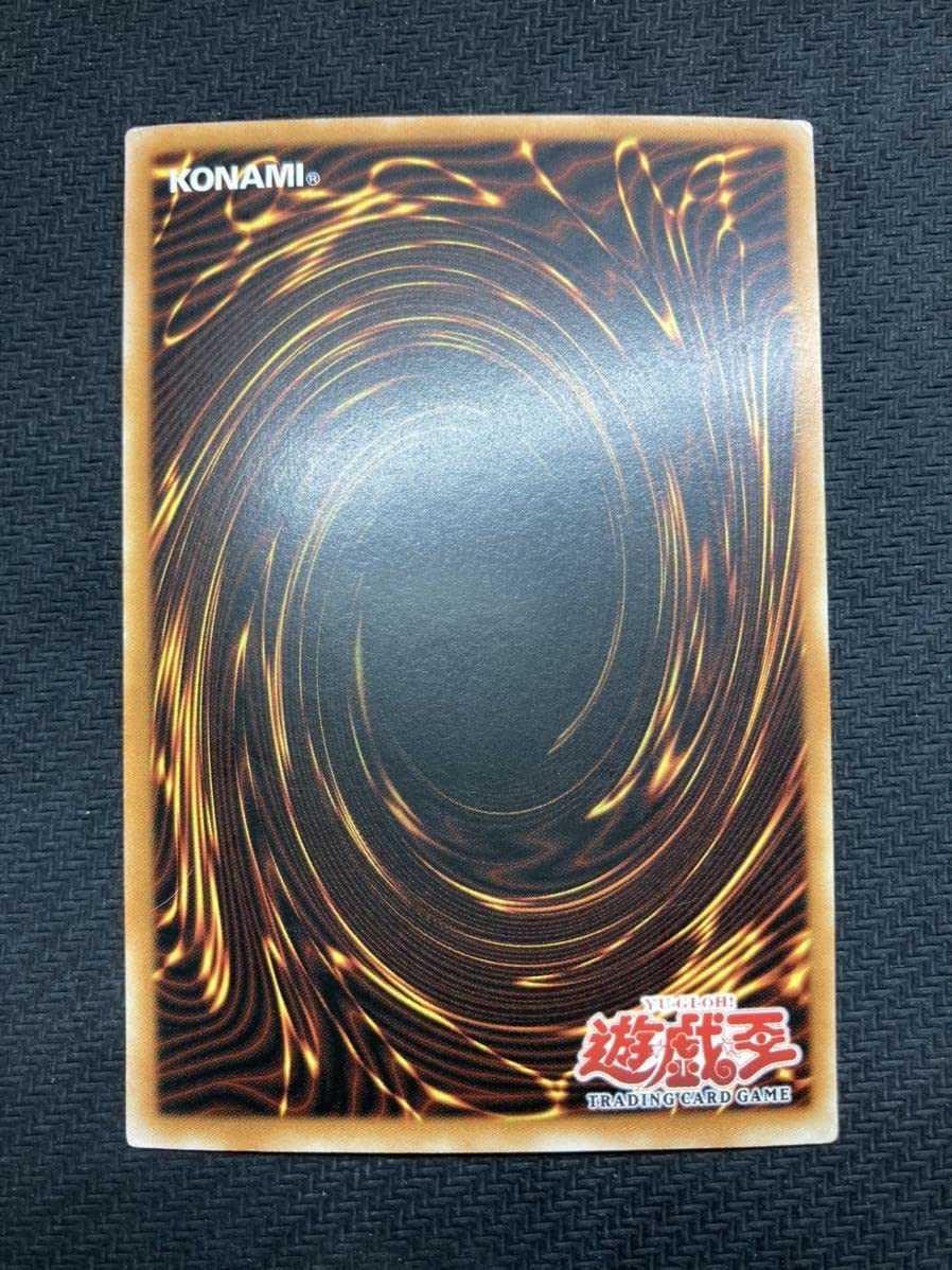Amazon.co.jp: 準美品 マグネットローダー付青眼の白龍 アジア版