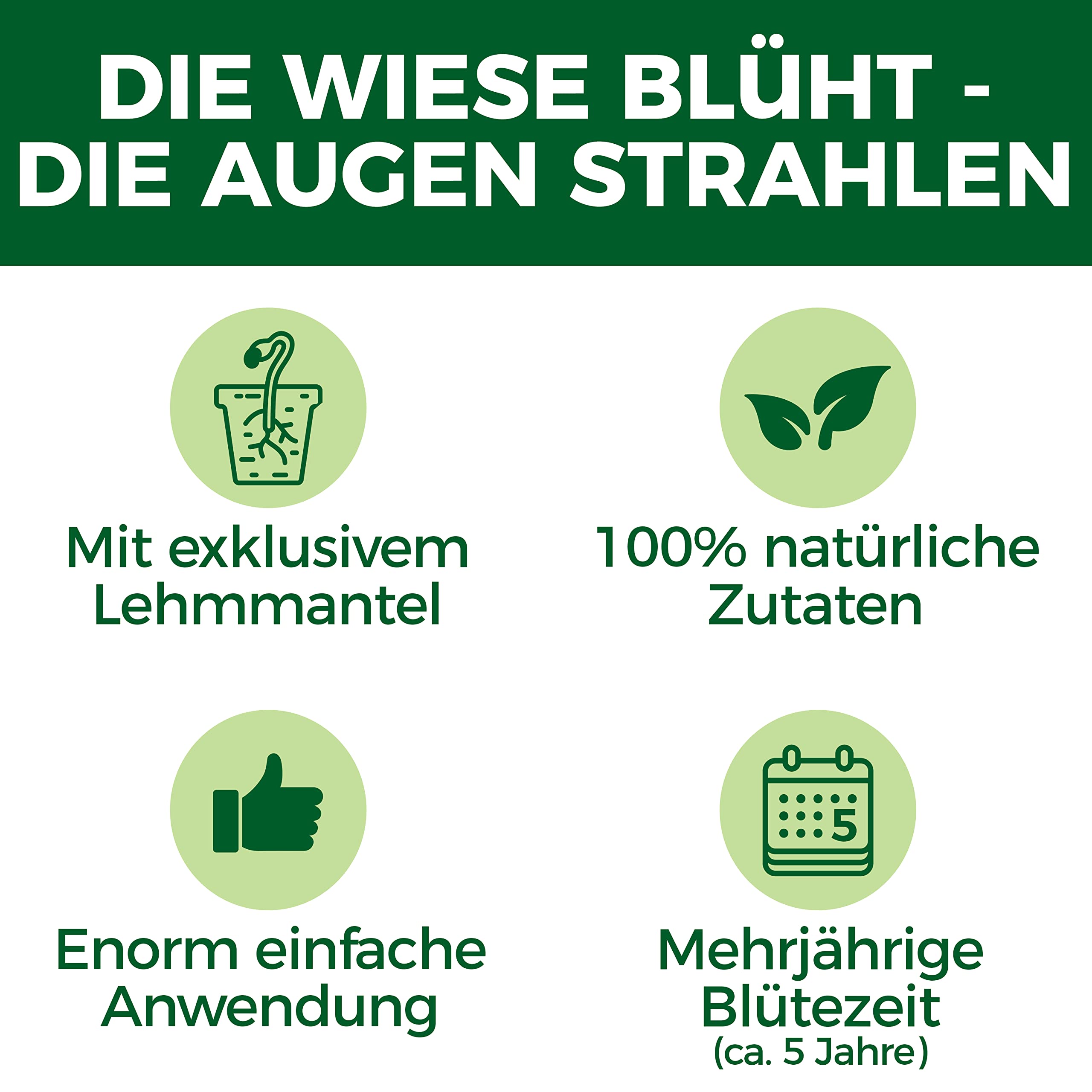 Nasiona kwiatów polnych, wieloletnie i odporne - 1200g nasion pastwiska dla pszczół w glinianej otoczce z Niemiec - 100% naturalne nasiona kwiatów