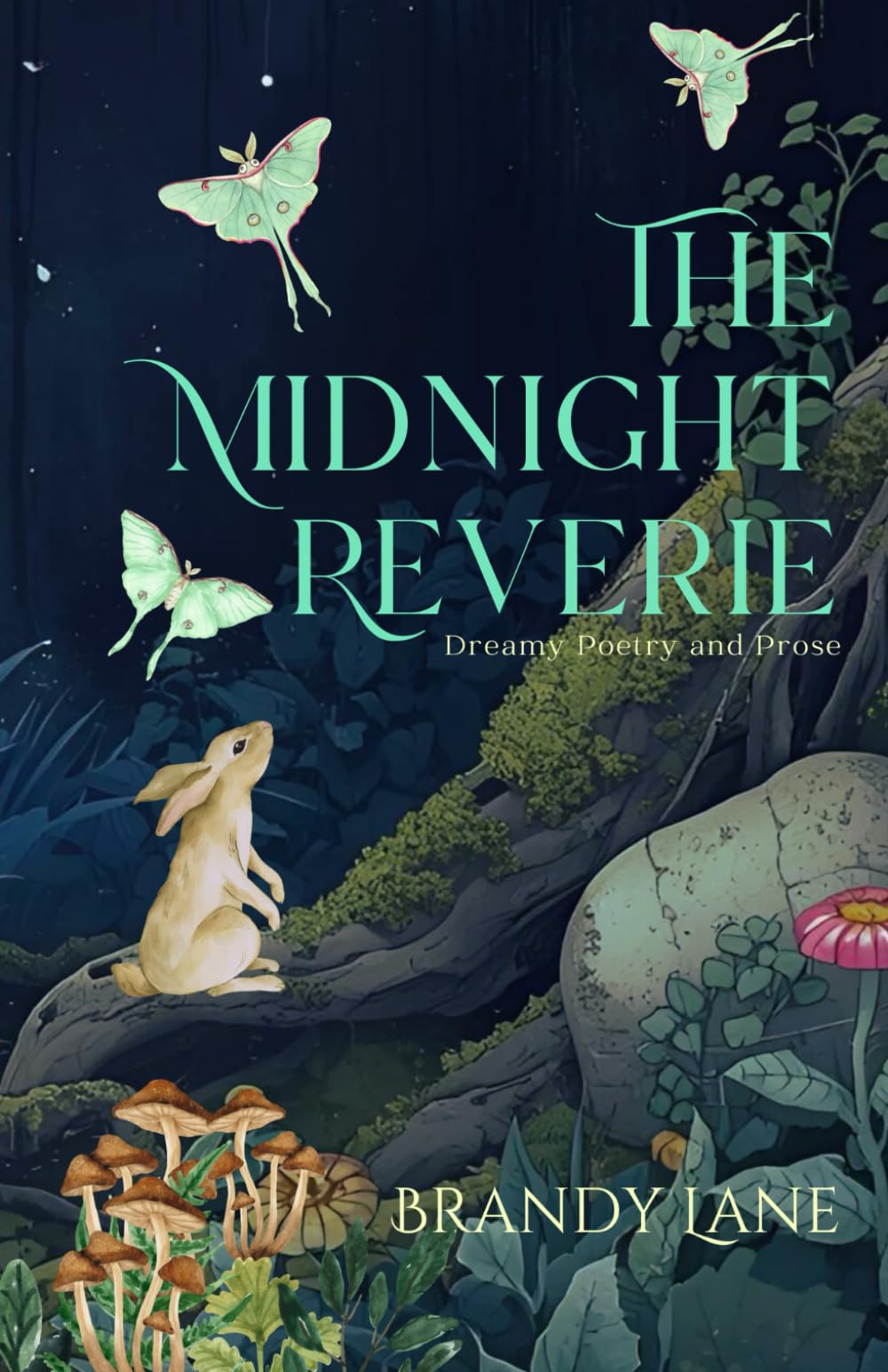 The Midnight Reverie: Dreamy Poetry and Prose