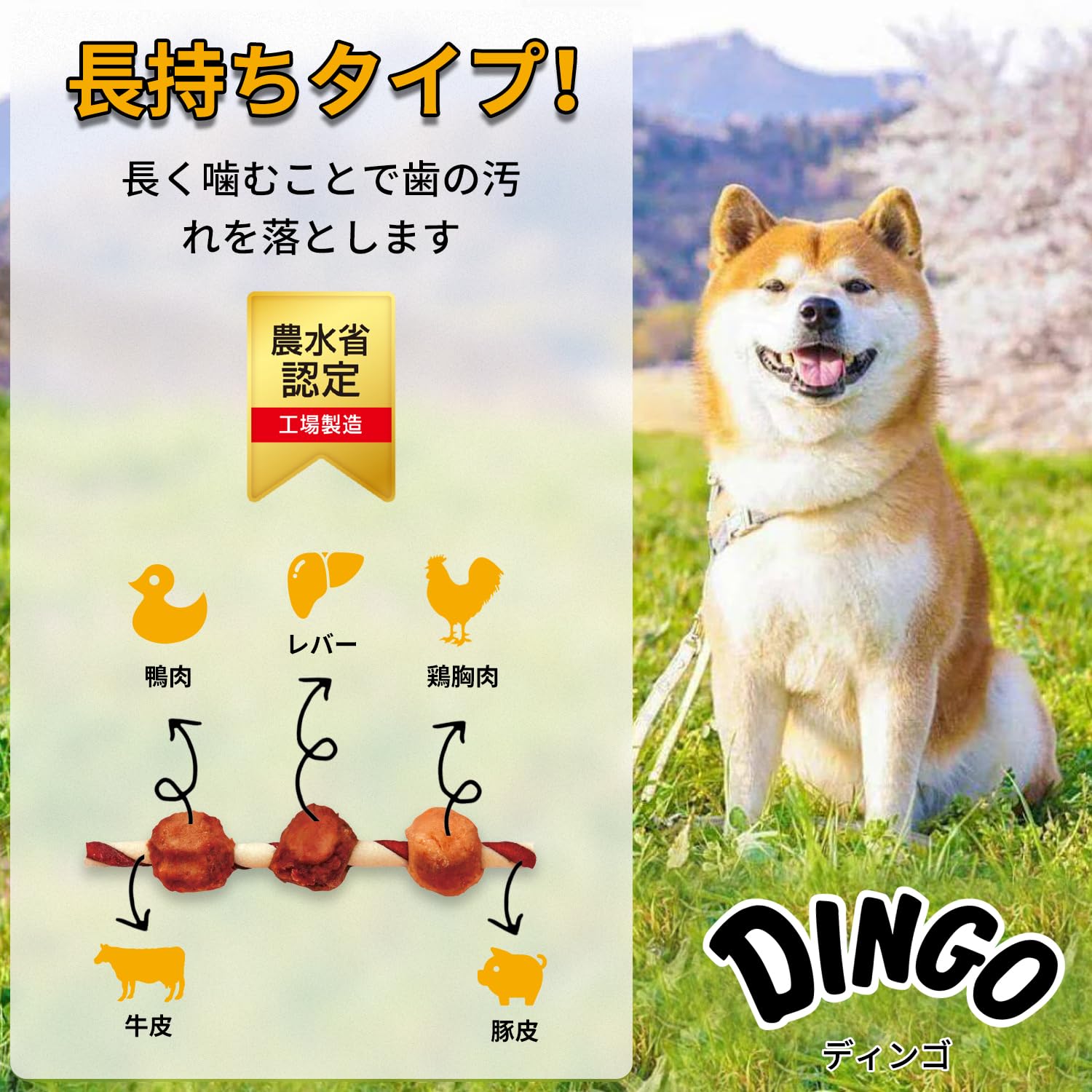 Amazon | ディンゴ (Dingo) 犬 おやつ トリプルミートガム 12本入×3個