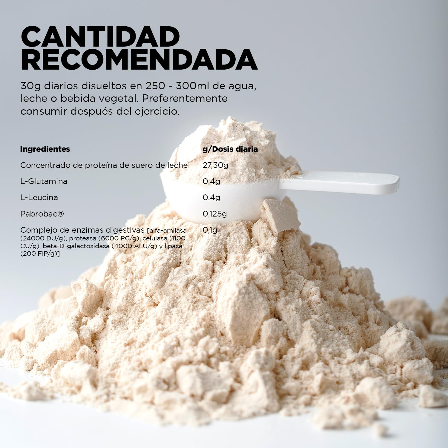 SPORT LIVE Concentrado de proteinas de suero de leche | Whey Protein en polvo con L-Glutamina y L-Leucina | Ayuda a aumentar tu masa muscular | Mejora tus batidos |Chocolate Blanco | 2 KG