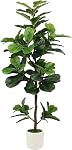 Figuier à feuilles de ficelle artificiel avec planteur blanc & Faux Moss, usine de plancher réaliste Faux Ficus Lyrata pour le décor intérieur du bureau, cadeau de chauffage domestique (6ft)