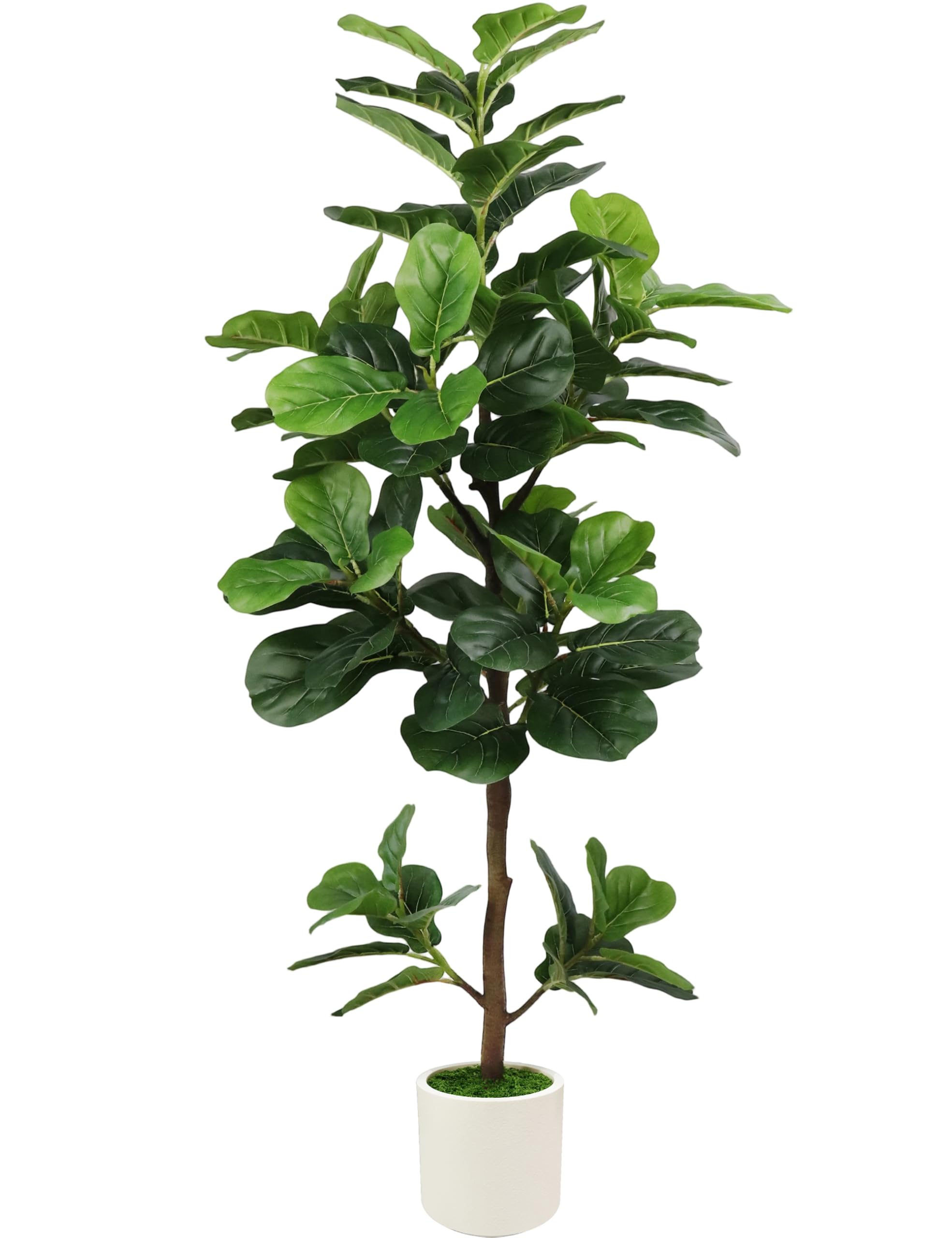 PEPEUNI 5FT Fiddle Leaf Fig Tree