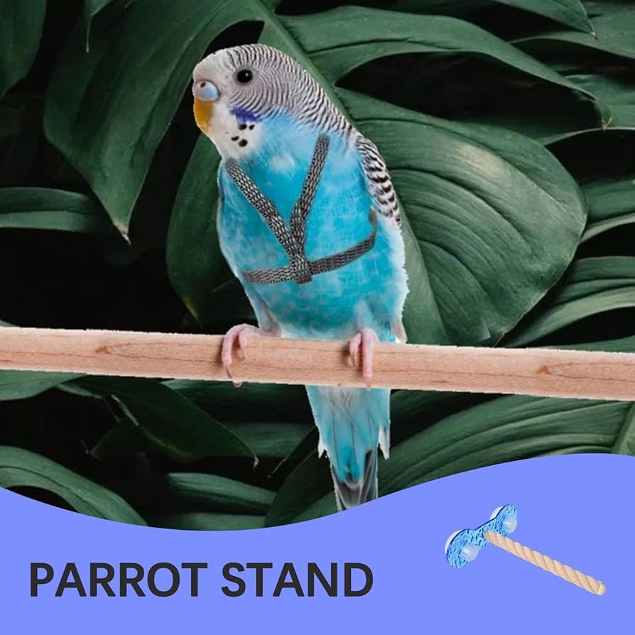 Amazon.co.jp: オウムの訓練用止まり木スタンド,鳥の訓練用