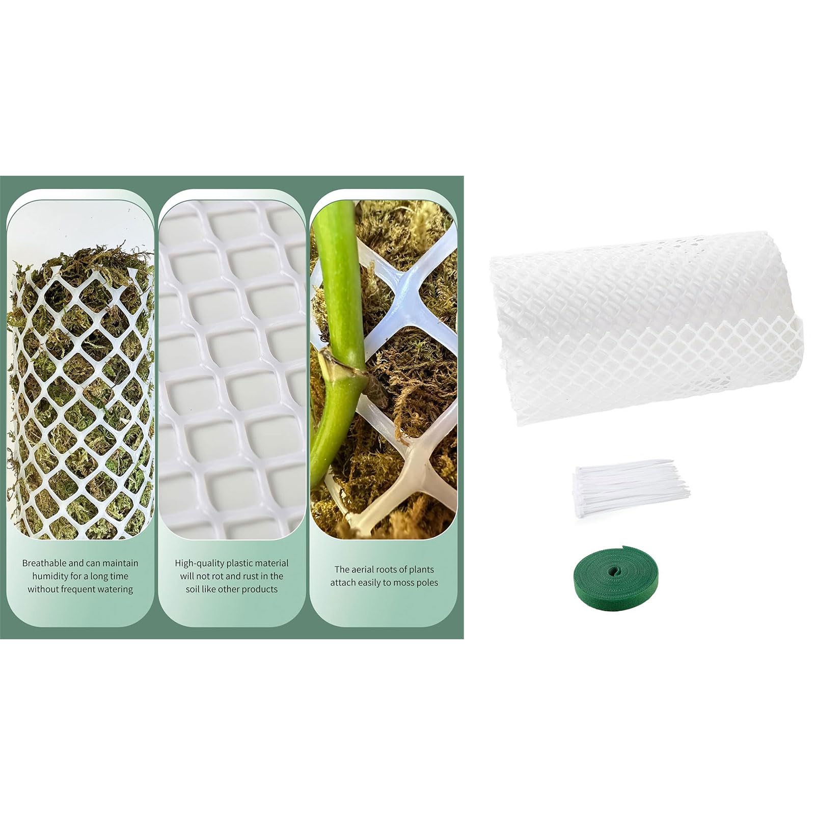 Kit de bâtons de mousse en plastique pour plantes Monstera, ruban de fixation pour plantes d'intérieur et de jardin, sphaigne en plastique