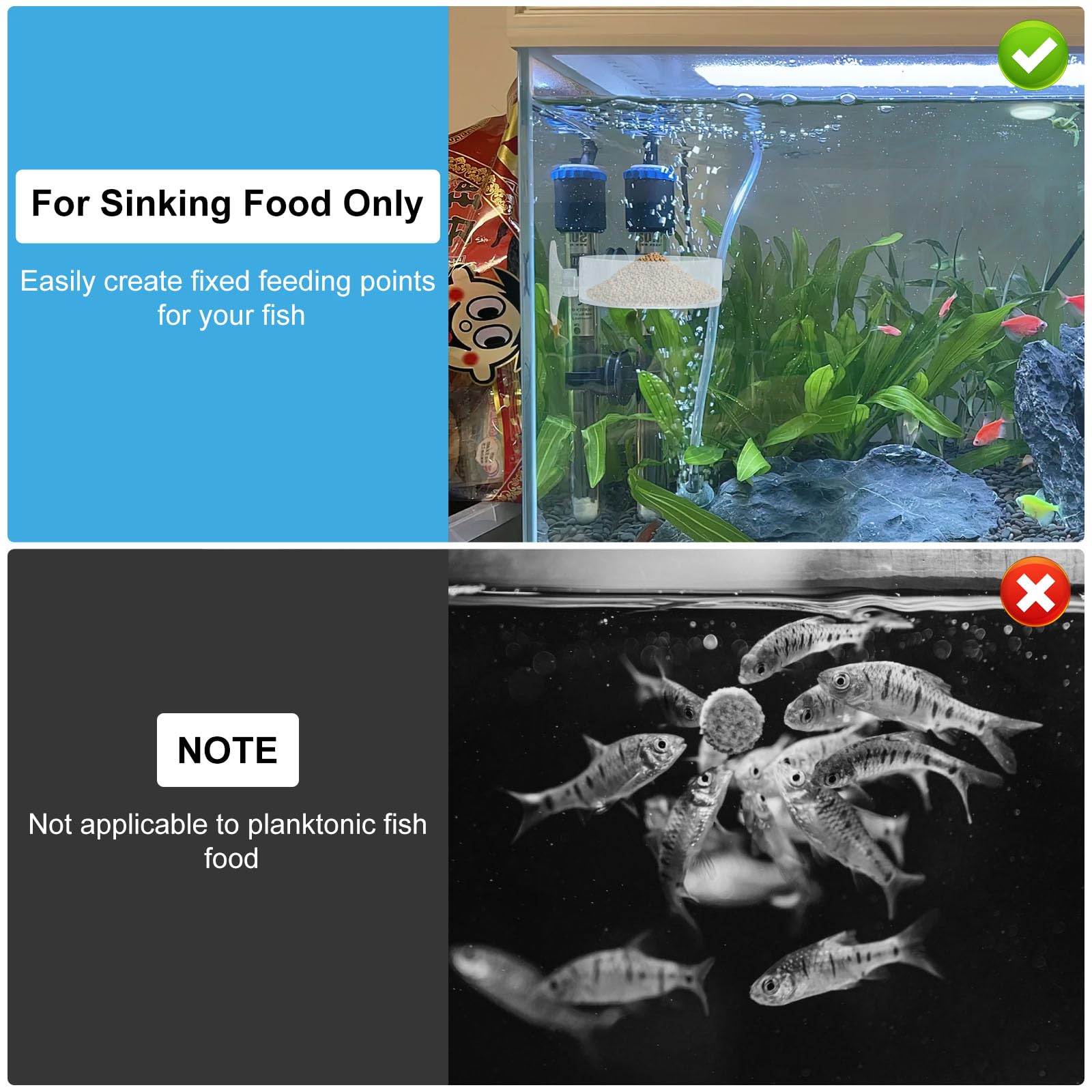 APOMOONS Mangiatoia per gamberi con ventosa 6 cm acrilico trasparente per acquario