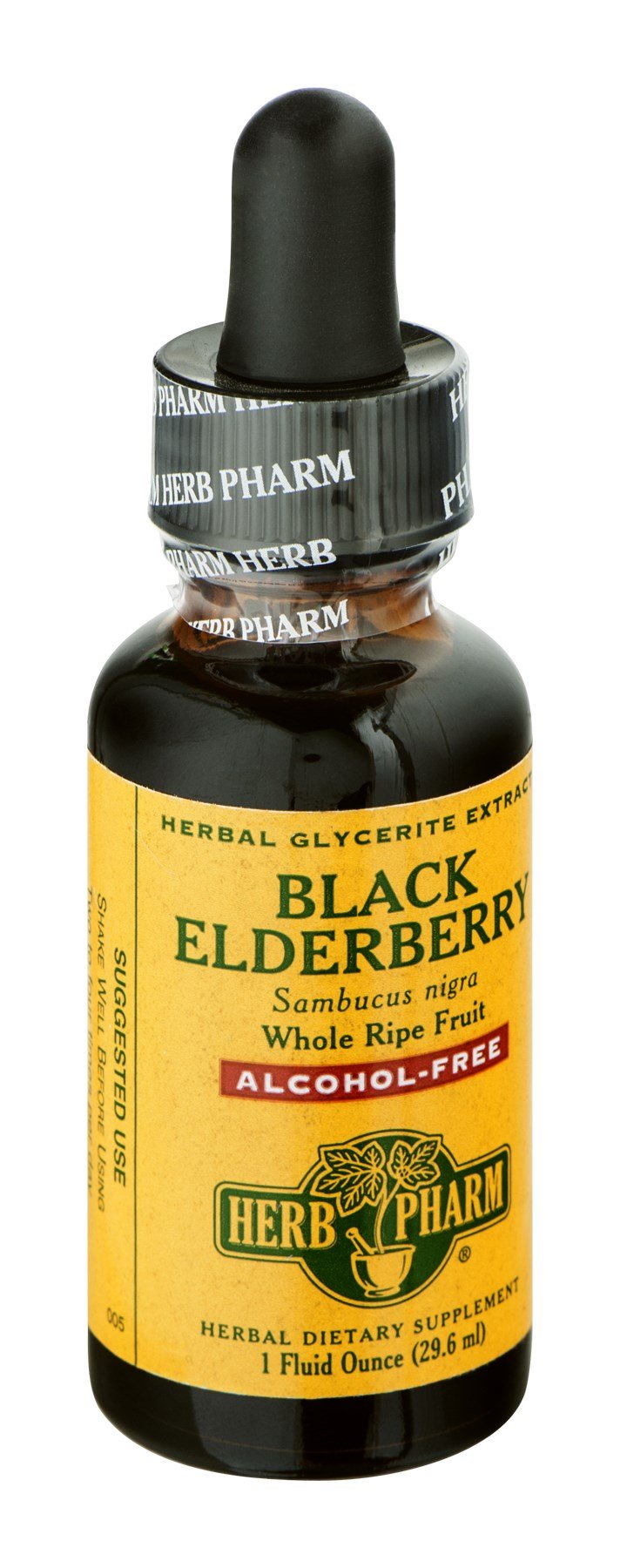 Black Elderberry Glyc