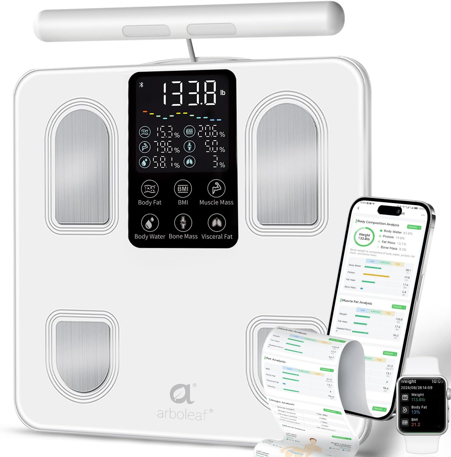Large display body fat scale