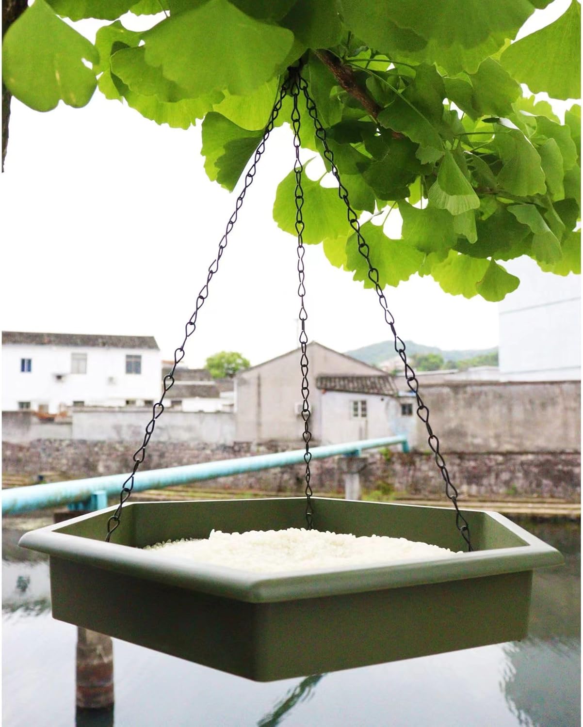 2 in 1 Hanging Bird Bath Feeder Food Tray Birds Feeds for Feeding Hummingbird, Bluebird, Cardinal, Squirrels, Doves, Seed Holder, Outside Outdoor Garden Decoration for Attracting Wild Birds, Green