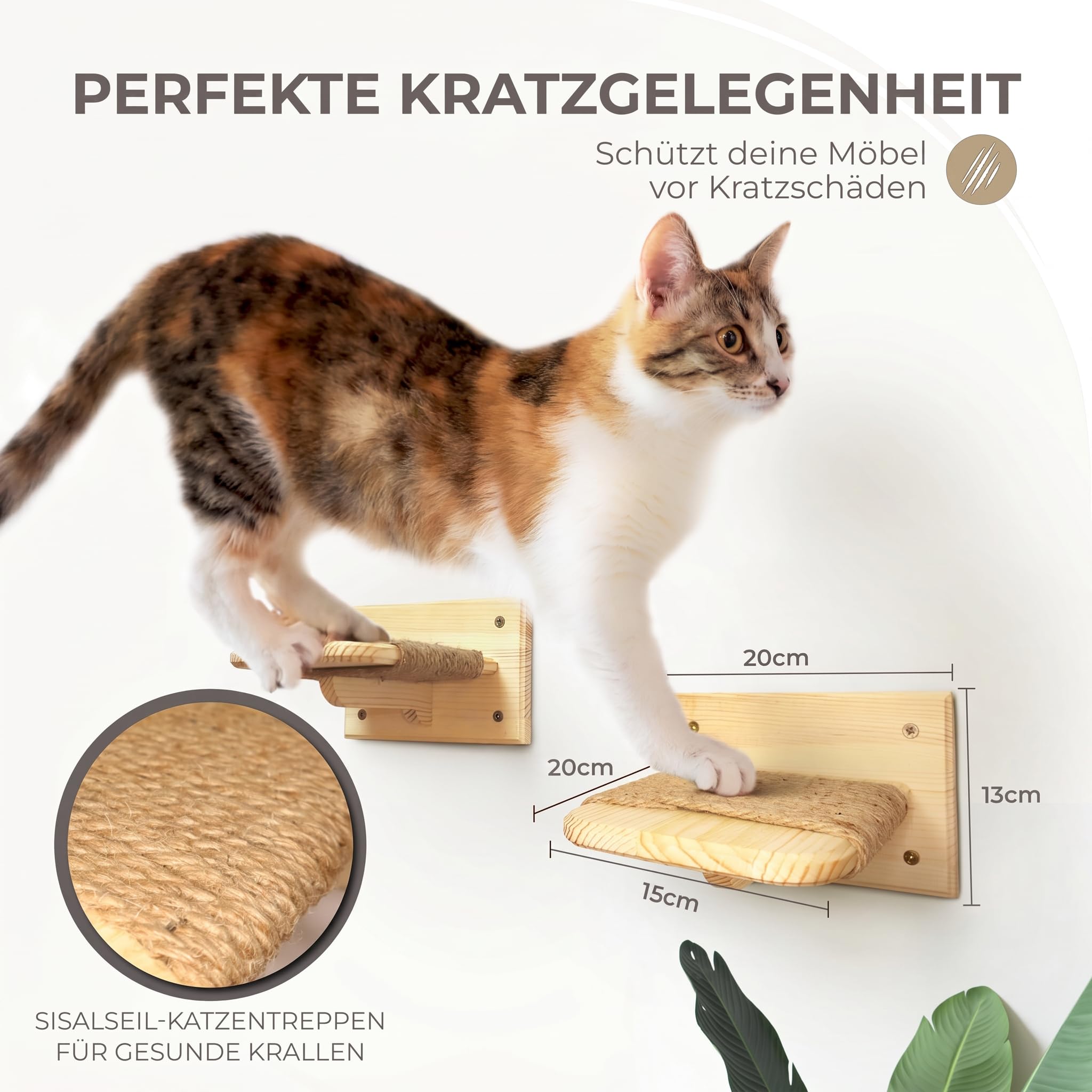 Katzen Wandtreppe aus Massivholz – 3er Set Kletterstufen für Katzen mit Juteseil – Katze Wandmöbel aus Kiefernholz – einfache & schnelle Montage – Kletterhilfe & Katzenwand