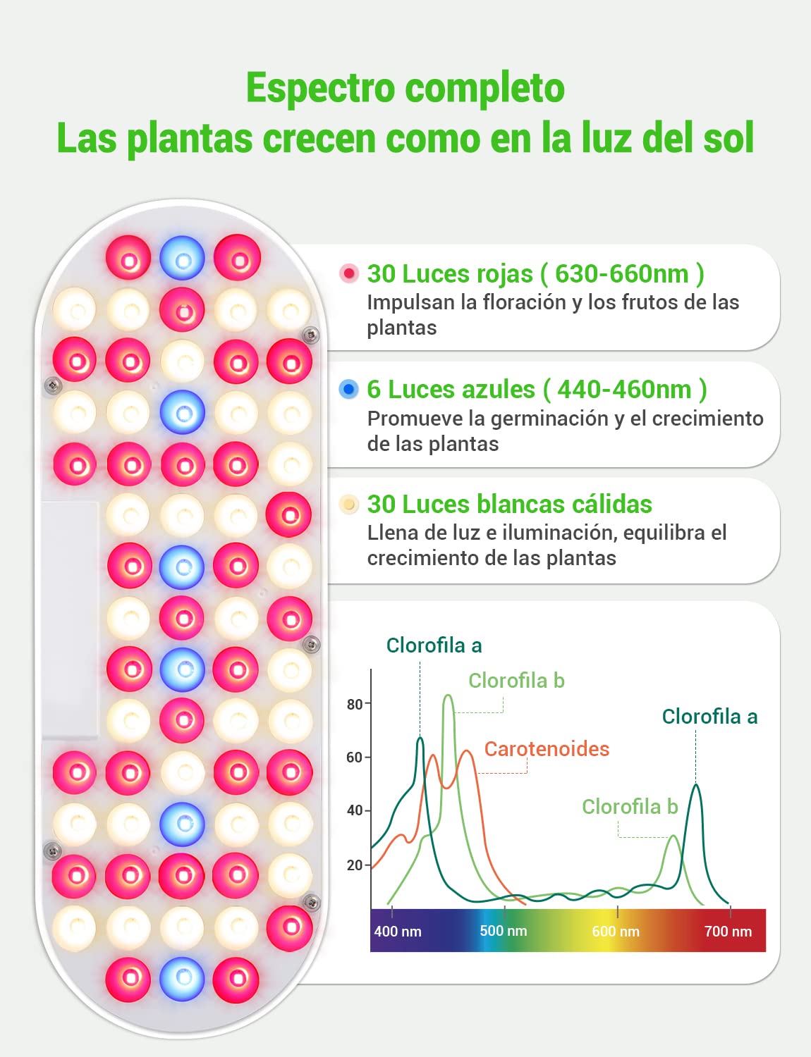 Sistema de Cultivo Hidropónico Kit de Cultivo Interior con Iluminación LED Automática, Huerto Interior con Temporizador Automático, Altura Ajustable (12 Vainas)