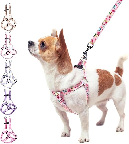 Miniatura 7 de BEAUTYZOO Juego de arnés y correa para perro pequeño sin tirones, arnés de nailon ligero para cuello y pecho ajustable para perros, niñas y niños,