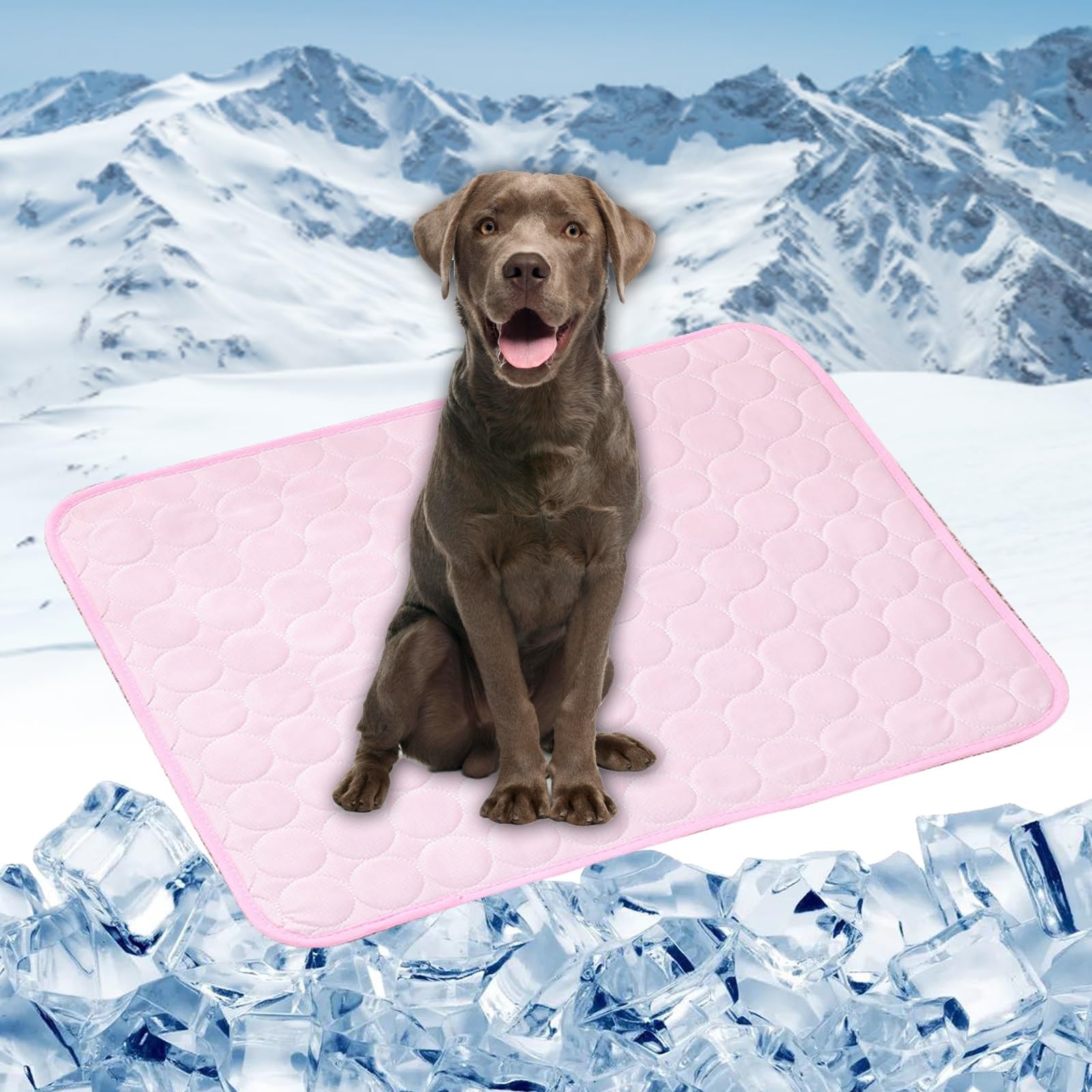 Tapis rafraîchissant chien rose pour le salon et les vacances d'été