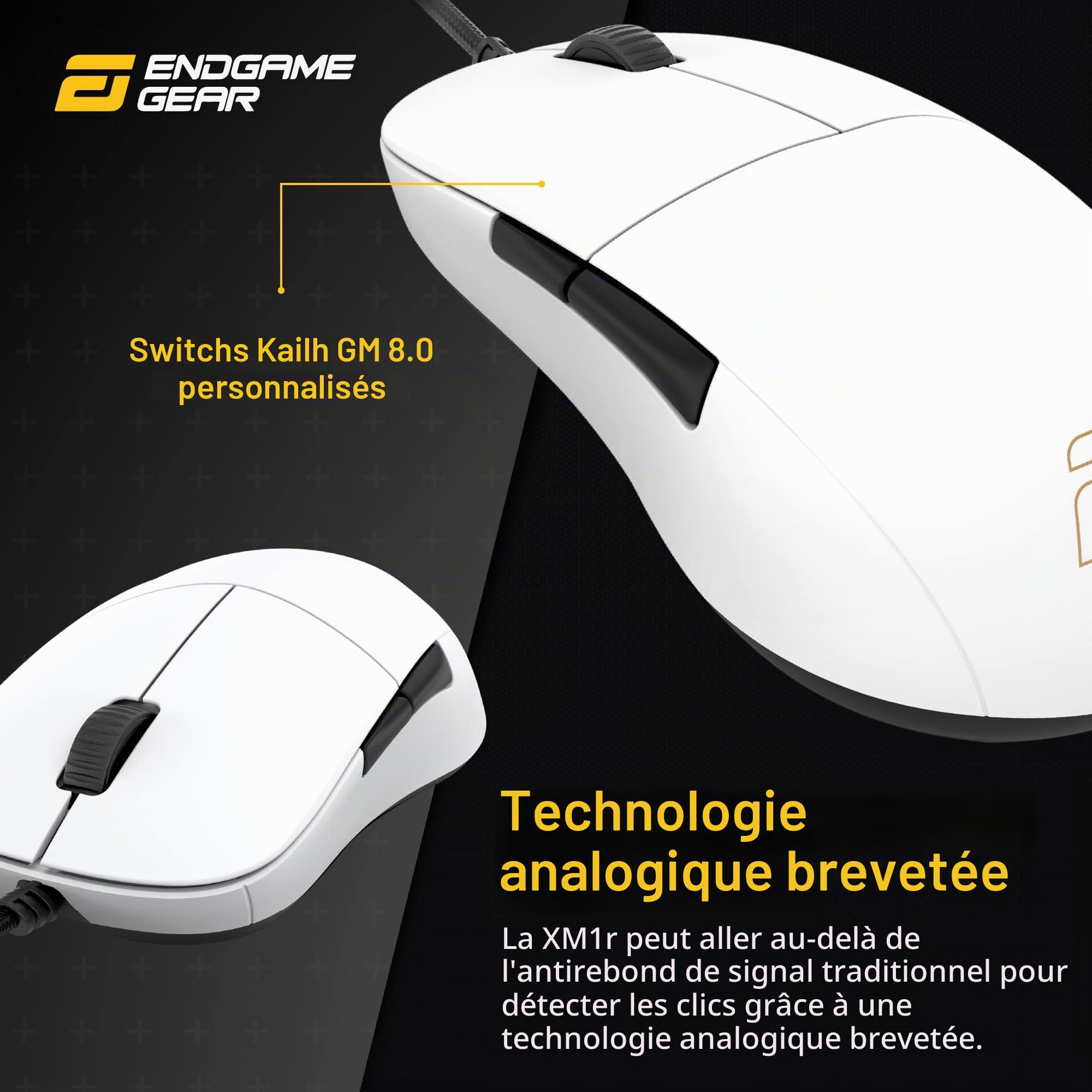 ENDGAME GEAR XM1r Souris Gaming - PixArt PAW3370 Capteur Optique - 50 à 19.000 CPI - 5 Boutons - Kailh GM 8.0 Switchs - 80 Millions clics - USB - Ergonomique - Poids de Seulement 70g - Blanc