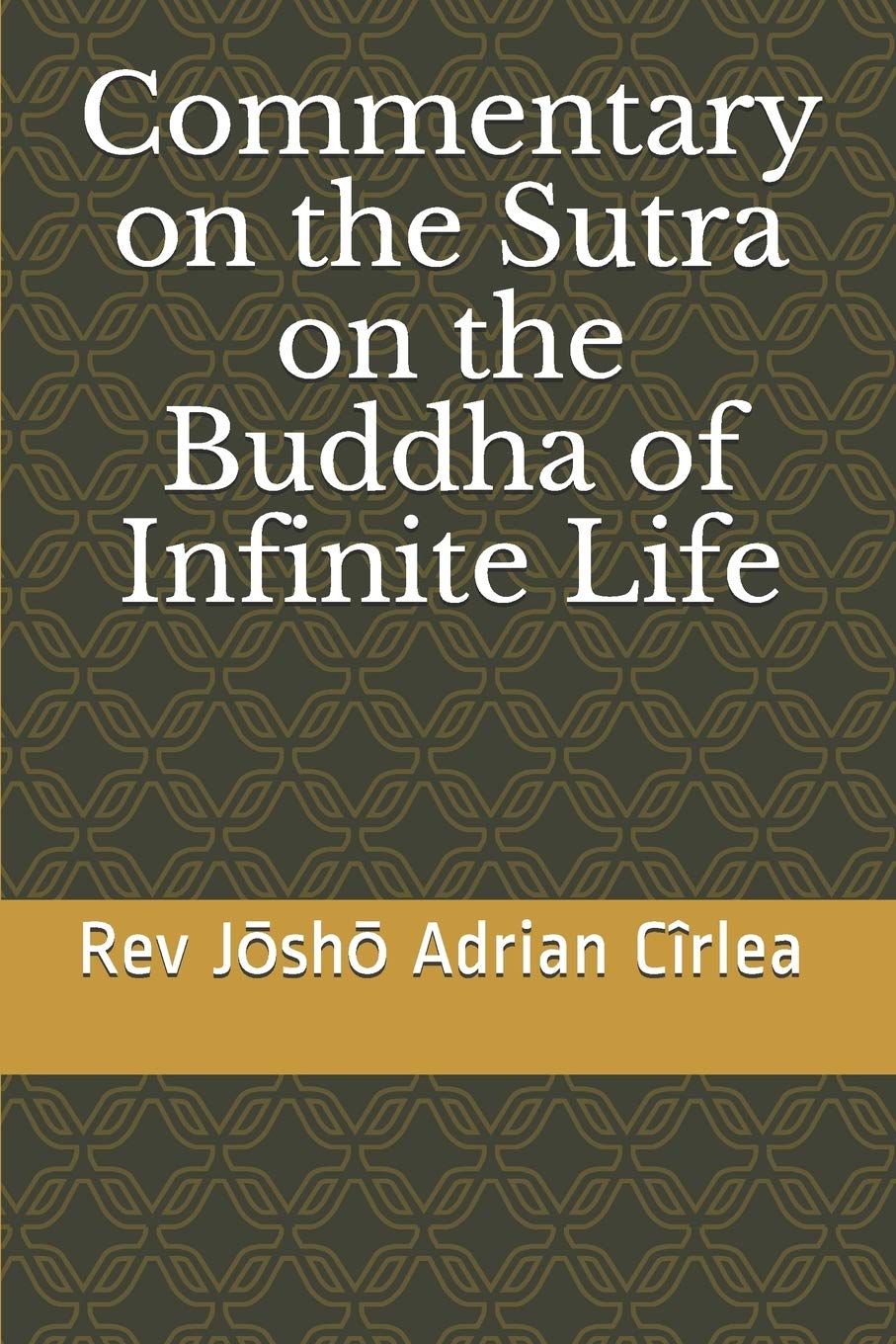 Commentary on the Sutra on the Buddha of Infinite Life