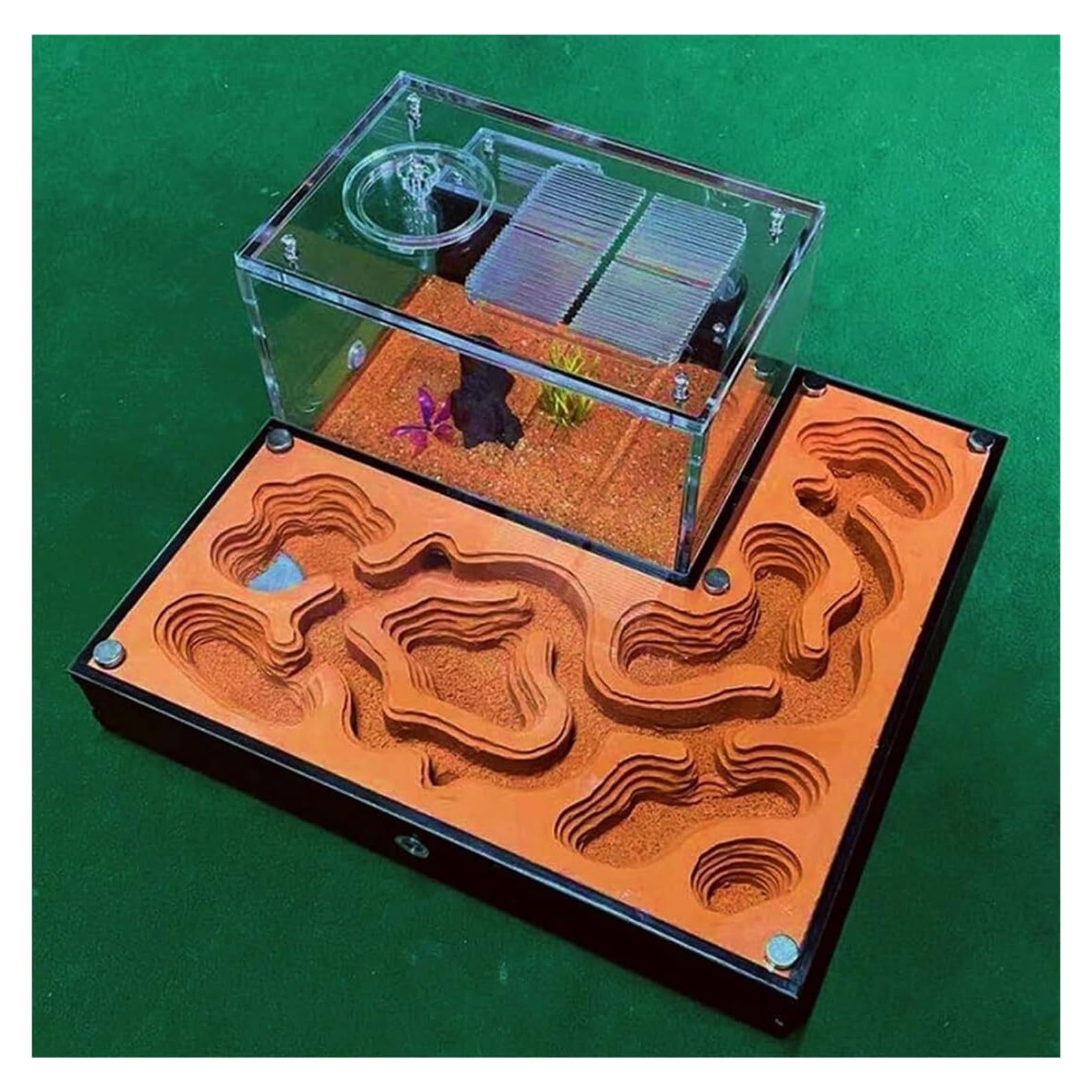 Amazon.com: LNGCLTEZ Ant Nest Ant Farm Acrylic Ant Ecological Nest
