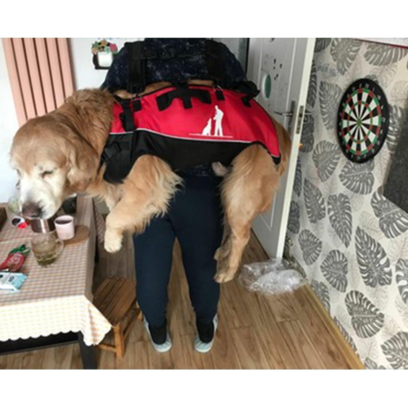 Mochila transportadora para perros grandes, diseño frontal ajustable para mascotas de 15 a 40 kg, ideal para personas mayores, perros con problemas articulares o artritis
