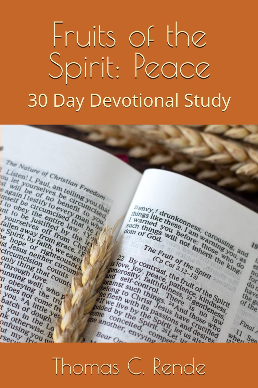 Fruits of the Spirit: Peace: 30 Day Devotional Study (The Fruits of the Spirit Series)