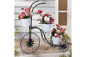 BAYN Tricycle Planter Stand: A Beautiful and Functional Addition to Your Outdoor Space
