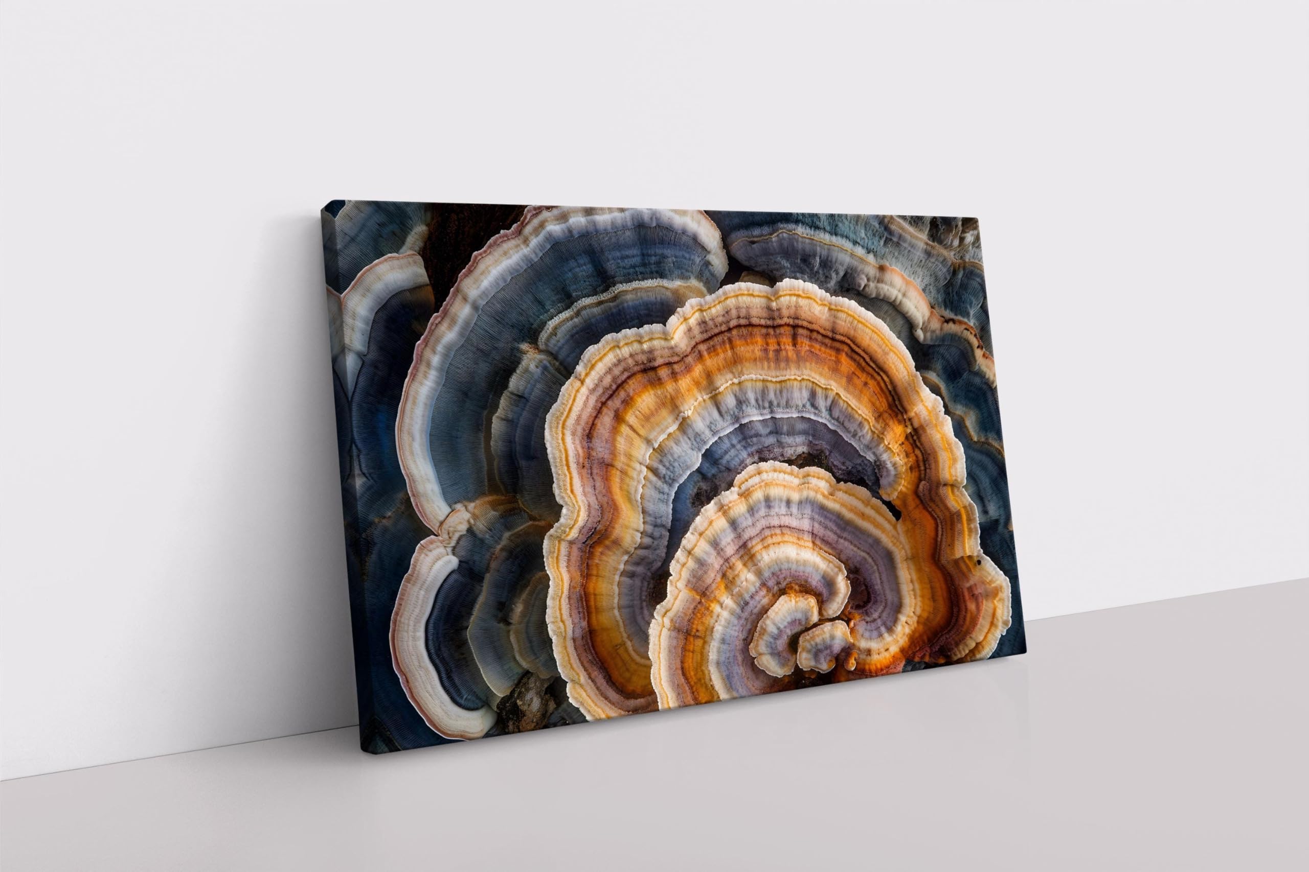 lianyibo Leinwandbild „Pilzringe“, Naturpilze aus dem Wald, Dekoration für Sammler und Mykologen (70 x 110 cm/Innenrahmen)