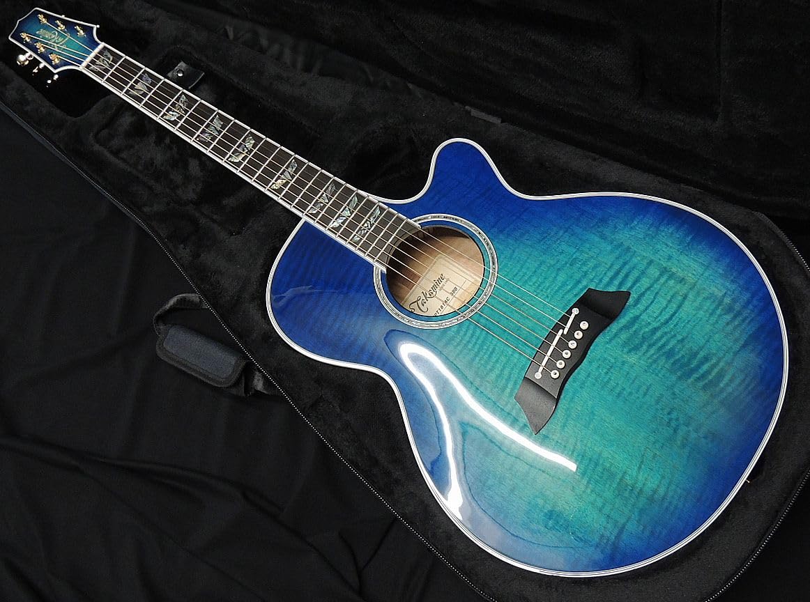 Elite TW25 トップ単板 アコースティックギター タカミネ 弦交換済 Elite TW25 トップ単板 アコースティックギター タカミネ 弦交換済