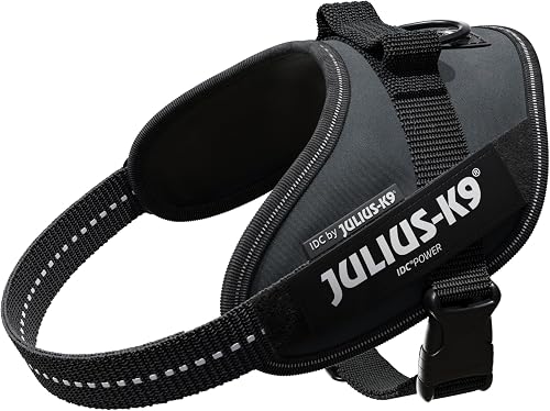 Julius-K9, 16IDC-ANT-M, IDC Powerharness, dog harness, Size: S/Mini, Anthracite