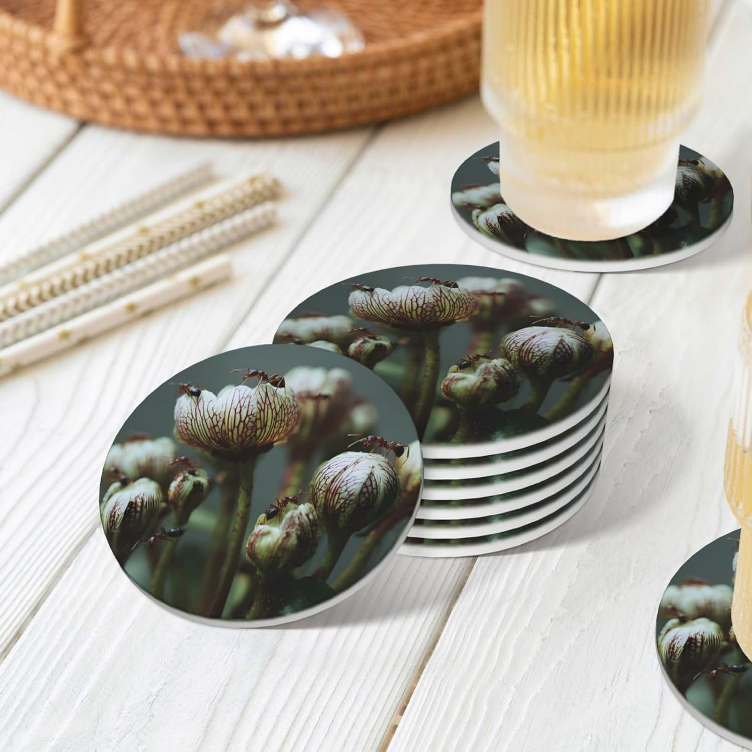 (Ants) Ceramic Coasters Set of 6 with Holder Non-Slip Round Coffee Coasters for for Cup Mug Drink Patio Coffee Table Decor, Christmas Coasters Home Bar Supplies